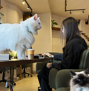 Screenshot 2026-01-30 at 17.29.25.png