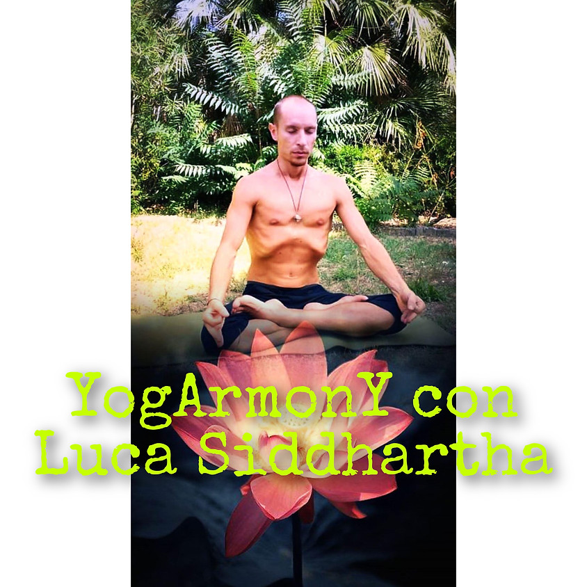VINYASA YogArmonY Flow di Luca Siddhartha - Per Tutti i Livelli