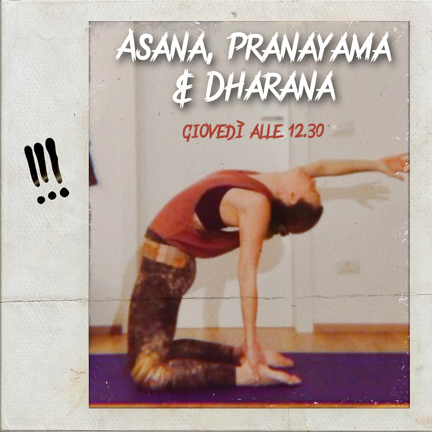 Asana, Pranayama e Dharana - Hatha II di Glenda Viveki Martins