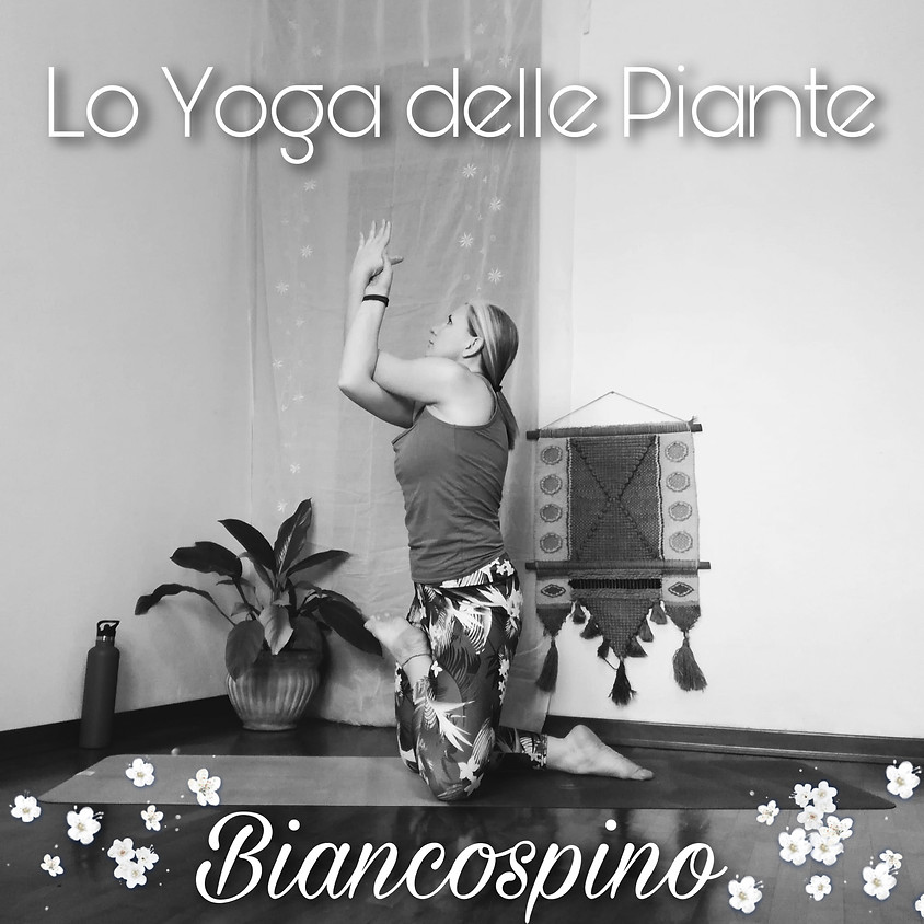 LO YOGA DELLE PIANTE con Tuatara Yoga - Sessione: Biancospino