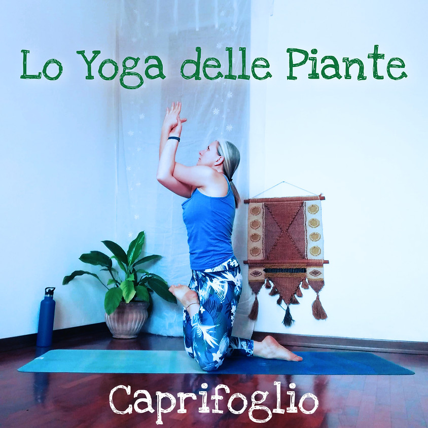 LO YOGA DELLE PIANTE con Tuatara Yoga - Sessione: Caprifoglio