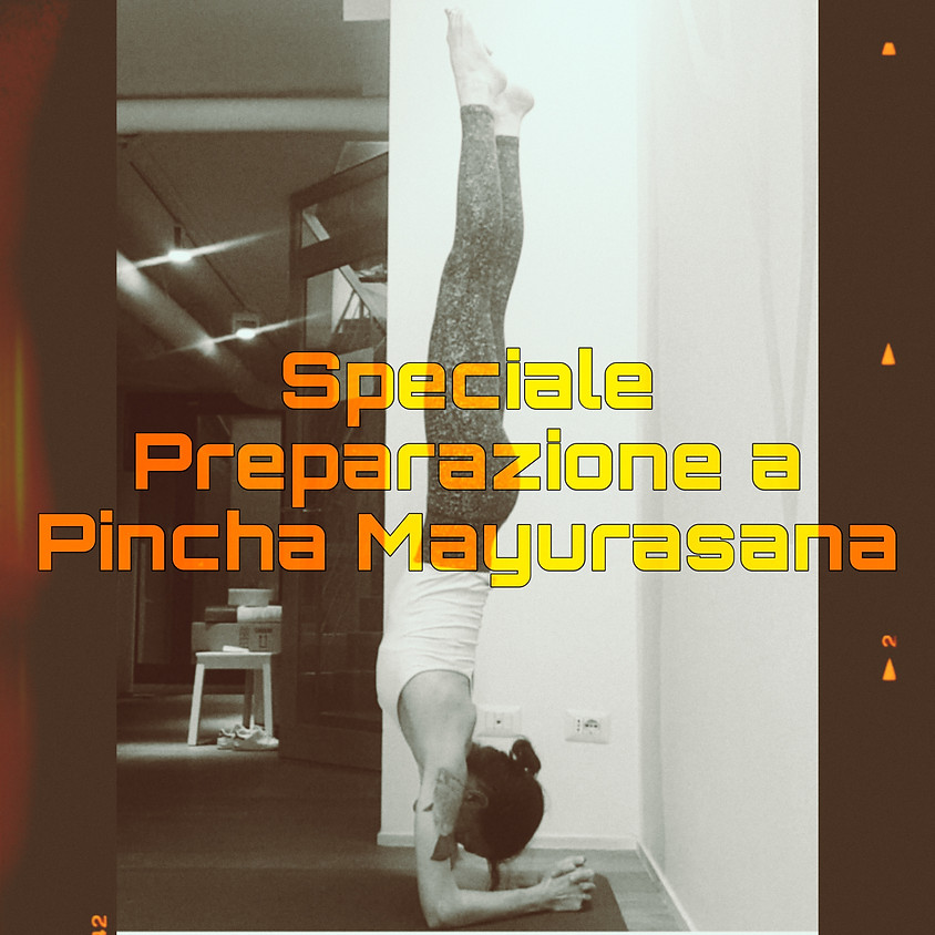 Hatha Yoga con Marta - Classe Speciale "Preparazione a Pincha Mayurasana"
