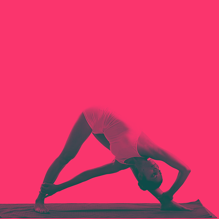 La Pratica Hatha Yoga Flow | Barbara Cavaliere | Per Ogni Livello