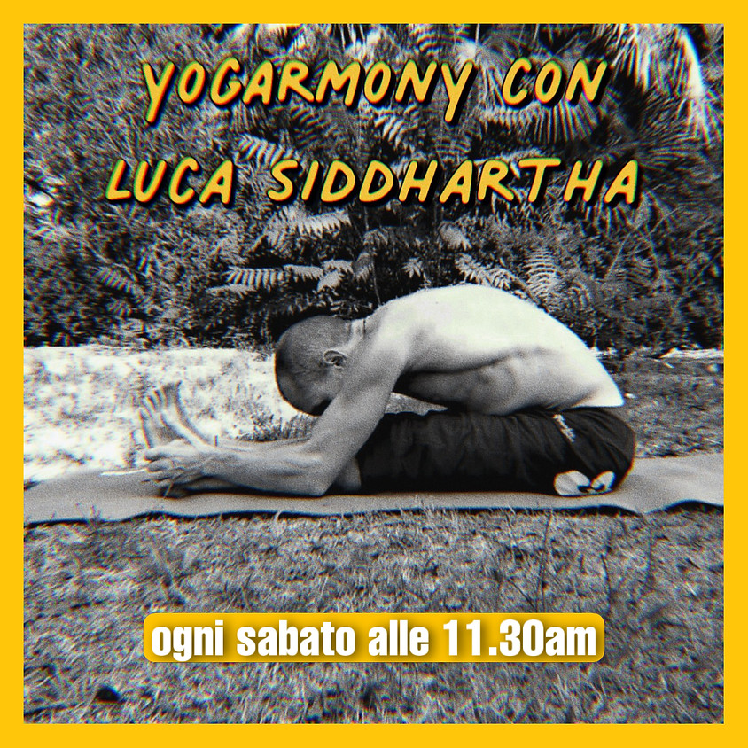 Pratica YogArmonY con Luca Siddhartha - Per Tutti i Livelli
