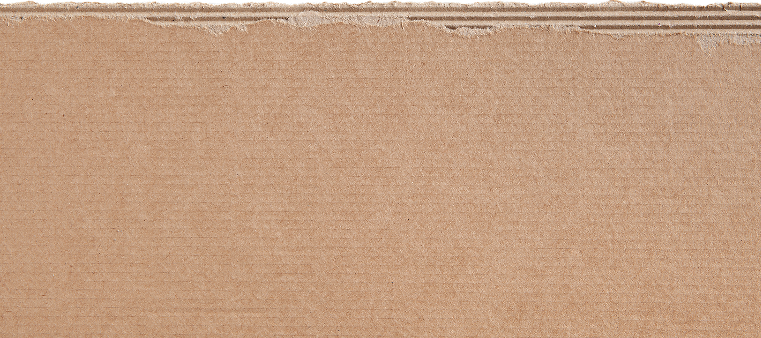 papelão.png