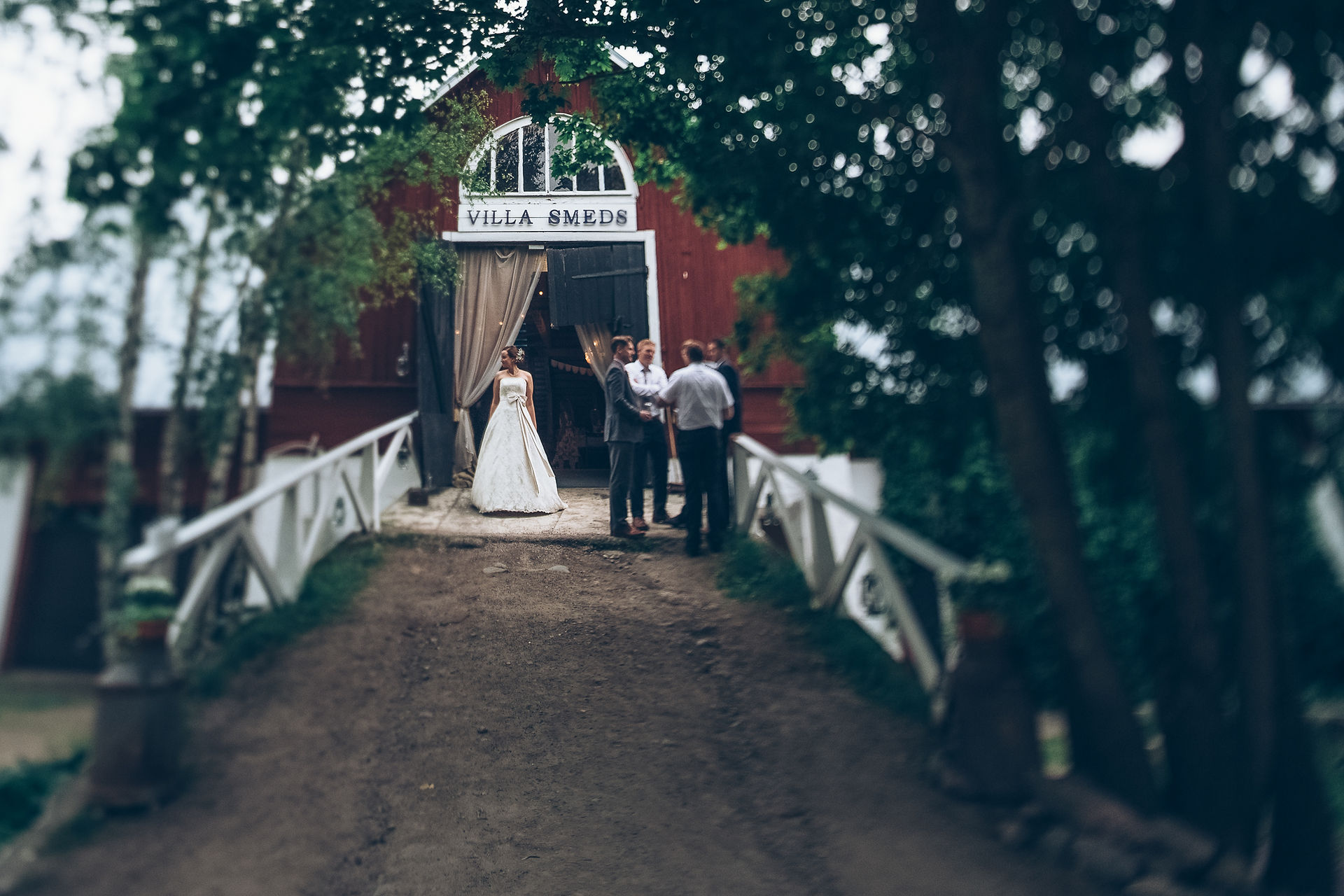 Wedding Day-686