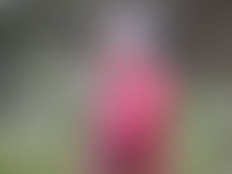 Erilaiset päiväkotikuvat