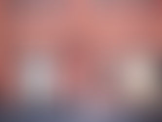 Kirsi ja Raffe, Ravintola Sipuli- Helsinki