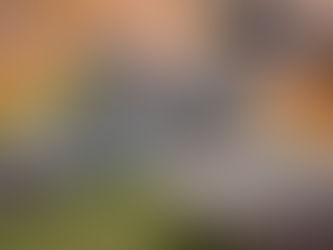 September 2025 Monthly Meeting