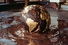 chocolate-fantasy-world-ball.jpg