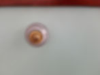 Detalle tirador
