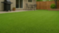 synthetic-grass-backyard.jpg
