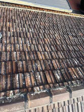 Roof Cleaning Treatment Melbourne