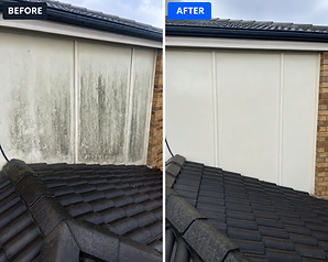 Render Cleaning before and after