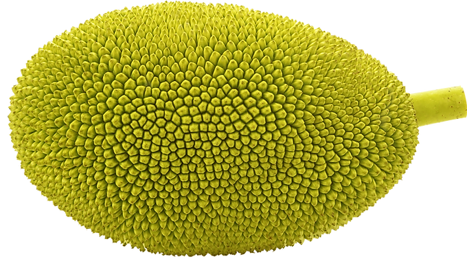 Jackfruit_edited.png