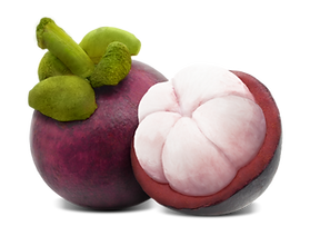 Mangosteen_01.png