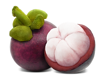 Mangosteen_01.png
