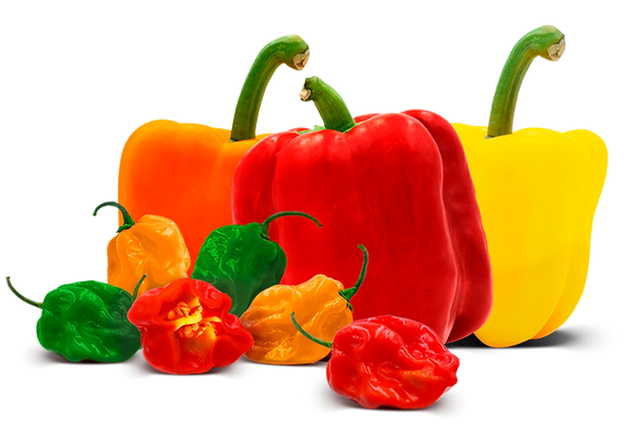 Bell_and_Habanero_peppers_SWS