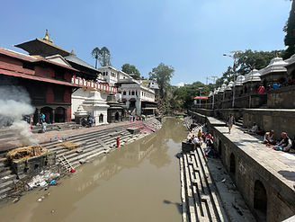 IMG_7557.JPG