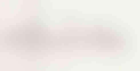 Abandoned House Section