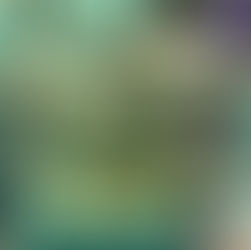 Design and Material Experiments 