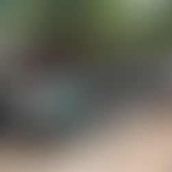 Design for Biodiversity