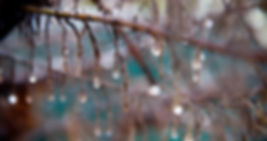 Water Droplets