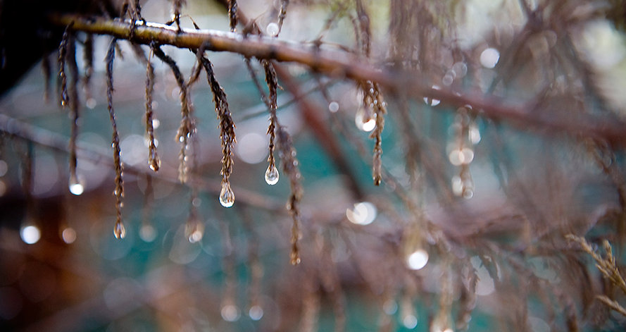 Water Droplets