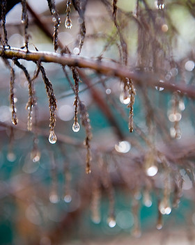 Les gouttelettes d'eau