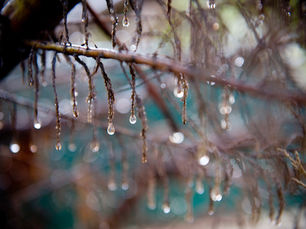 Building Leaks During the Winter
