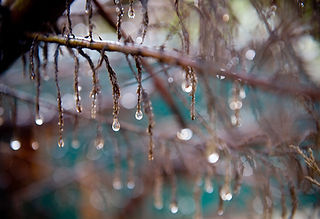 Water Droplets
