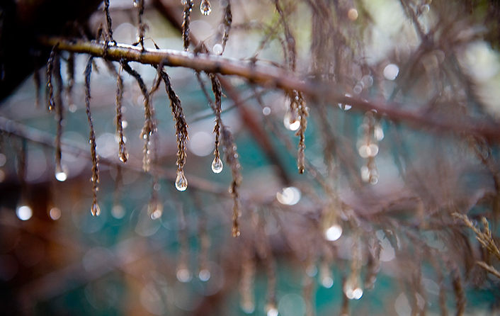 Water Droplets