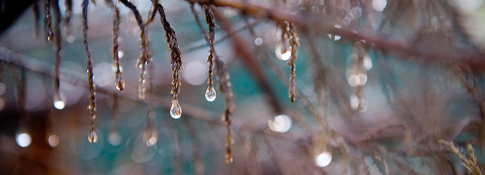 Wassertropfen