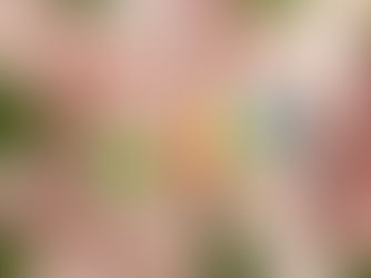 НОВИЙ БЮДЖЕТНИЙ ОБЛІК»:Благодійна та гуманітарна допомога: як відрізнити та обліковувати?