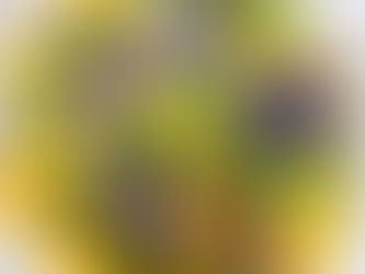 ЩИРО ВІТАЄМО З ДНЕМ НАРОДЖЕННЯ !