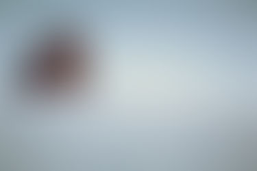“Nagorno-Karabakh” Released a photo!
