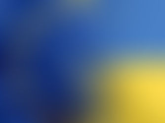 Резолюція «солідарність з Україною»