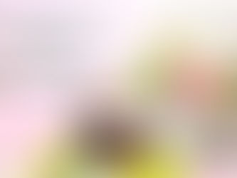 Зі світлим Христовим Воскресінням !