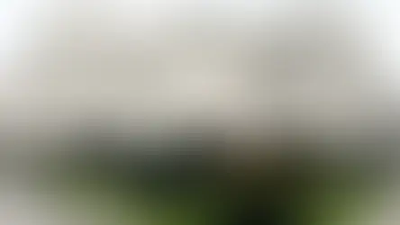 Суд визнав неконституційним встановлення тримісячного строку для звернення працівника до суду про стягнення заробітної плати та інших належних працівникові виплат 