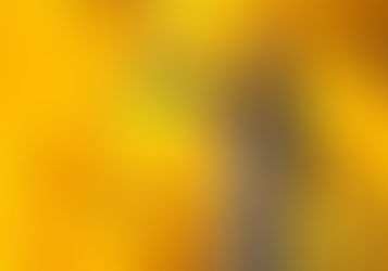 Відсутність працівника на роботі в період дії воєнного стану не може бути кваліфікована як прогул без поважної причини, — огляд практики КЦС ВС