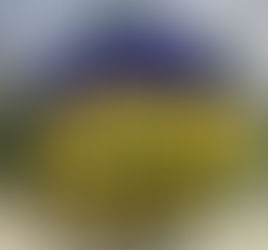 Щиро вітаємо з ювілеєм Мірошниченка Дмитра Тимофійовича !