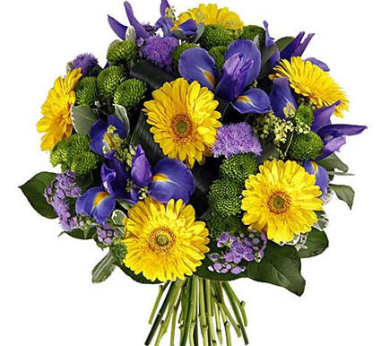 Щиро вітаємо з Днем народження !