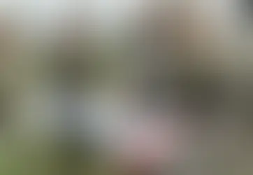 Військкоми затремтіли: Міноборони придумало, ким їх замінити – все залежить від ВЛК