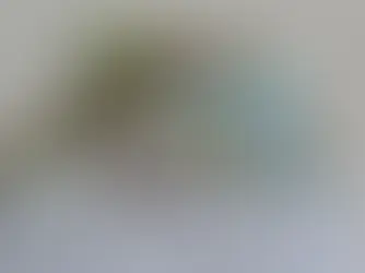 Українці мають сплачувати податки з грошових подарунків: ставки у 2026 році