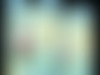 В Україні е-посвідчення ветерана стане основним документом - ВРУ ухвалила закон