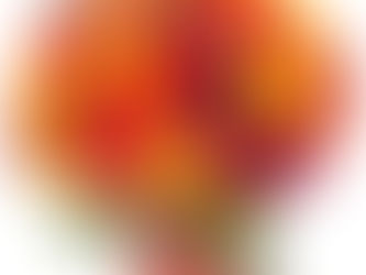 ЩИРО ВІТАЄМО З ДНЕМ НАРОДЖЕННЯ !