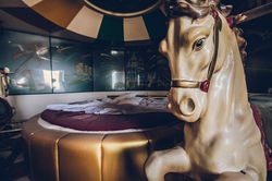 The Adult Amusement Park