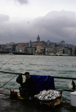 Istanbul and Turkey#5