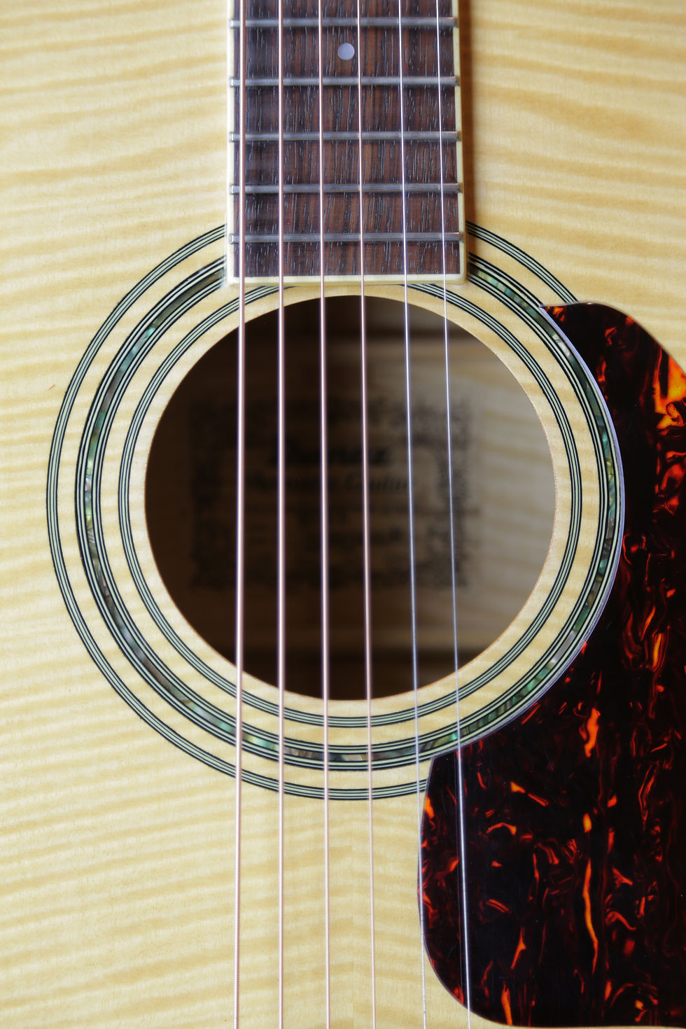 Miniature : Ibanez M330 1982
