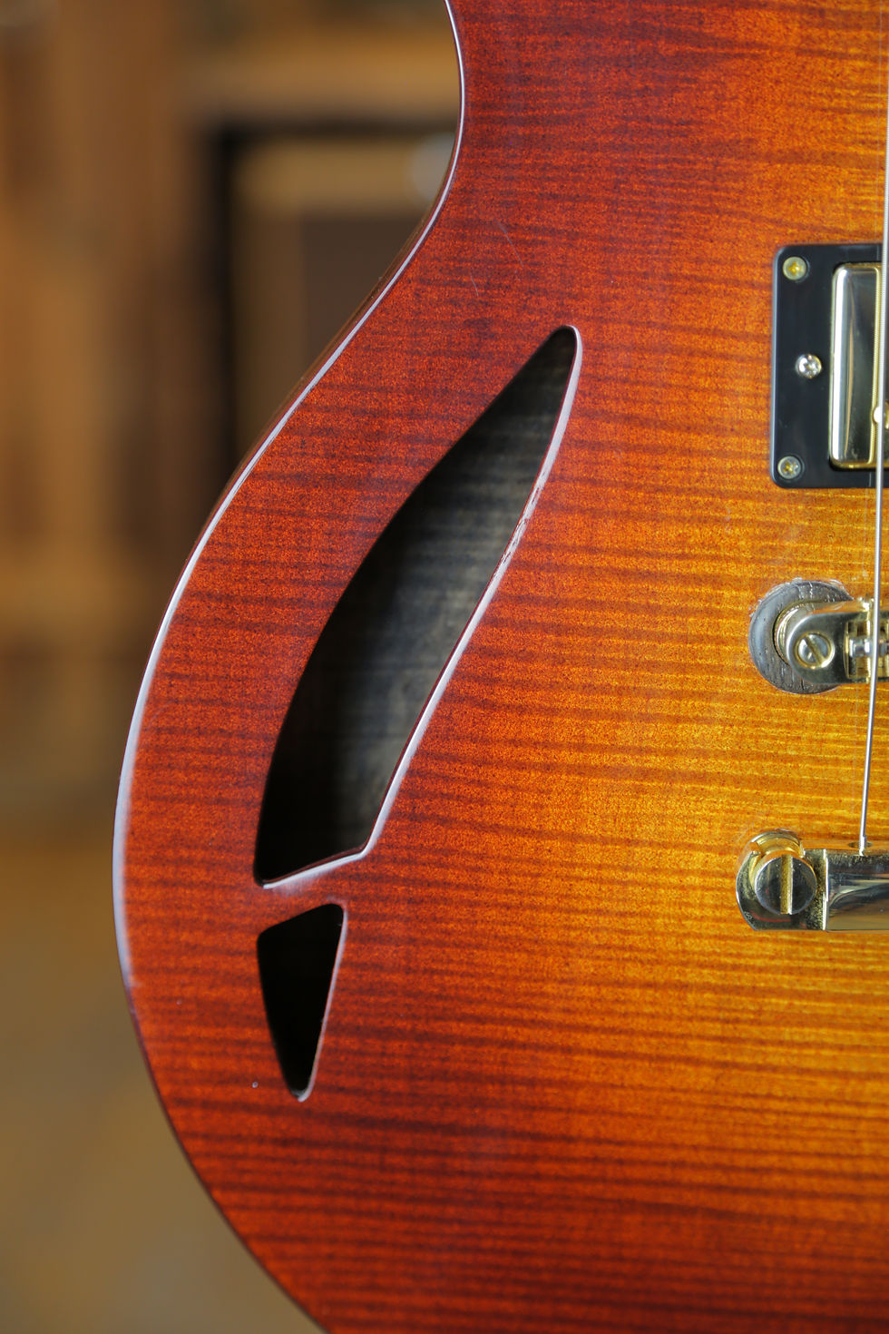 Miniature : Jon Perry CS Series Semi-hollow 2014